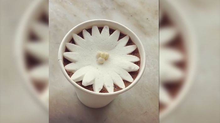 Cantik! Marshmalow Ini Mekar Seperti Bunga