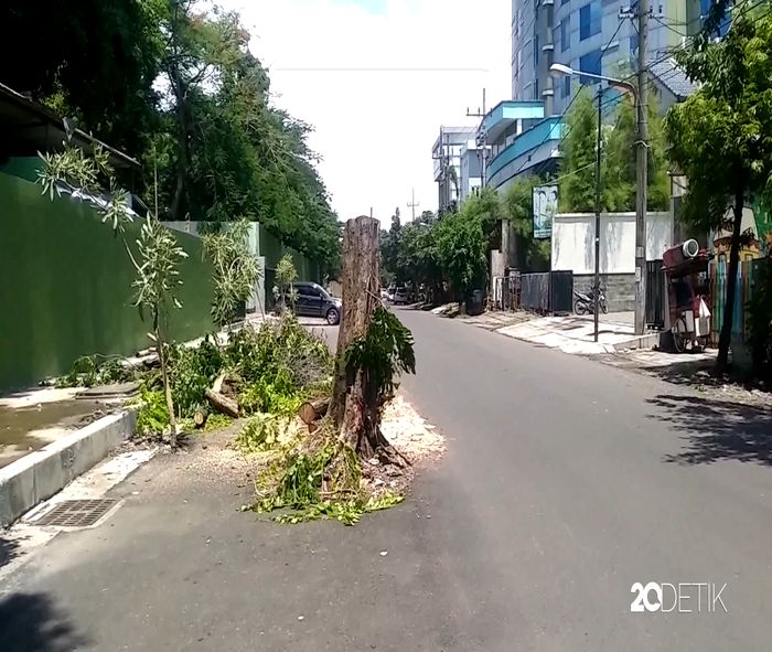 Akhir Cerita Pohon di Jalan Setail, Surabaya