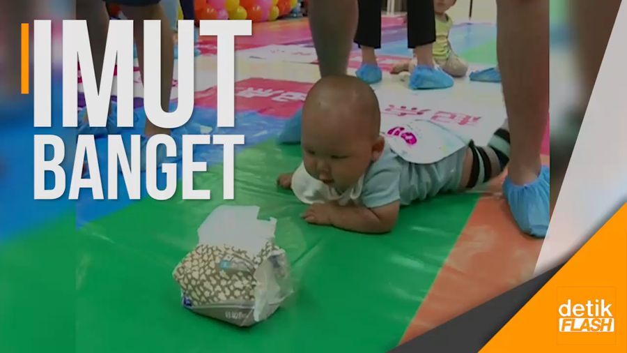 Kontes Merangkak untuk Adik Bayi