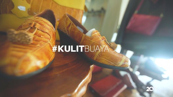 Melimpahnya Kulit Buaya di Merauke
