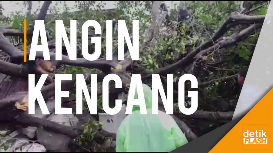 Hujan Angin Sebabkan Pohon Tumbang hingga Atap Beterbangan