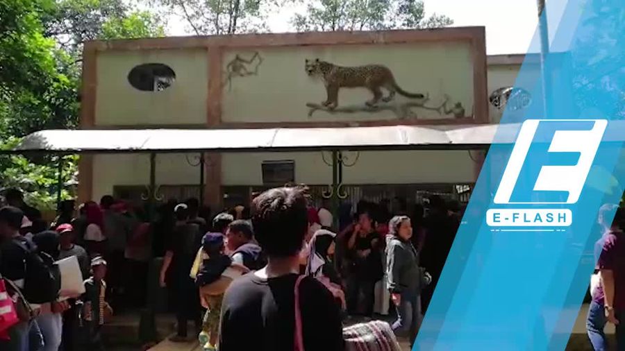 Nge-Vlog di Ragunan: Wisata Murah Warga Jakarta