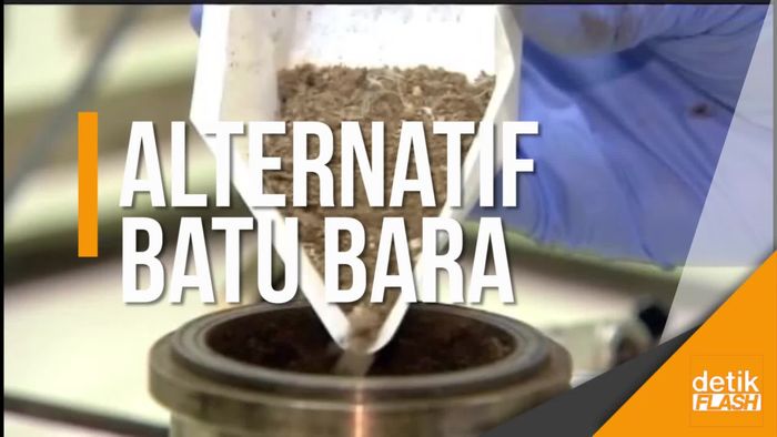 Inovatif! Kotoran Ayam Dikembangkan Jadi Bahan Bakar