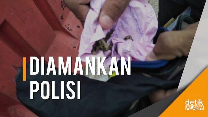 Nekat! Pemuda Ini Tabrak Polisi dan Ketahuan Bawa Ganja