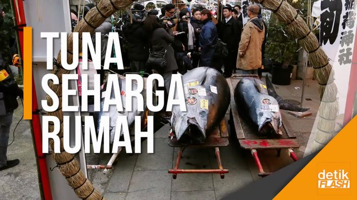 Wow! Ikan Tuna Ini Laku Dilelang Rp 4 M, Kayak Apa Sih Bentuknya?