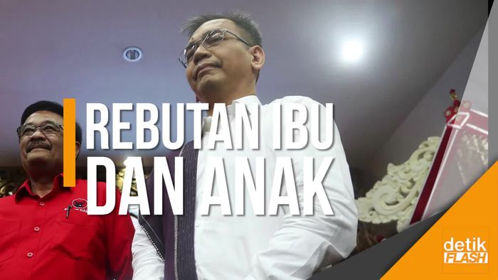 Sosok Wakil Djarot yang Bikin Megawati Rebutan dengan Puan Maharani