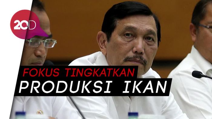 Luhut Minta Susi Hentikan Penenggelaman Kapal