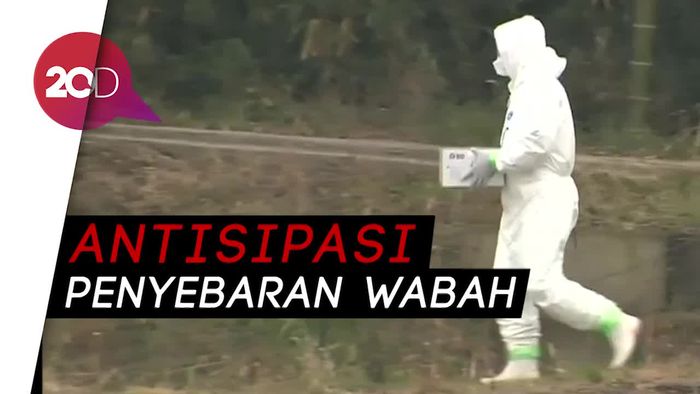 Ada Wabah Flu Burung, Jepang Musnahkan Puluhan Ribu Unggas