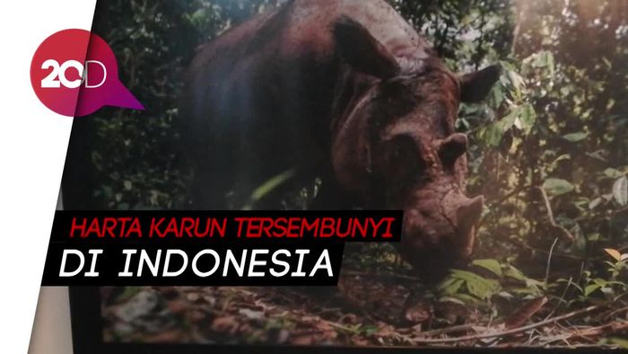 Bantu Lestarikan Badak Sumatera Melalui Pameran dan Lelang Amal