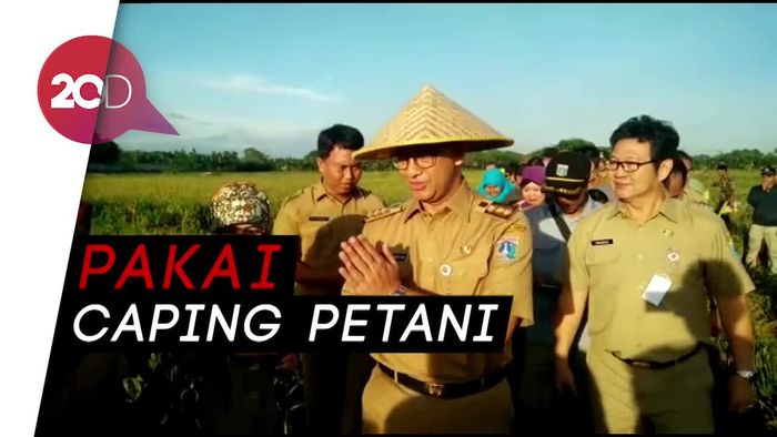 Gaya Anies Panen Padi di Cakung