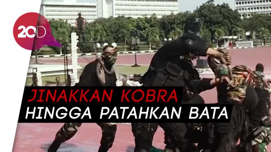 TNI Pamerkan Atraksi Unik di Depan Menhan AS