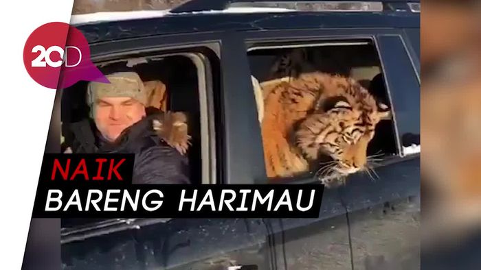 Gemas atau Ngeri Menaiki Mobil Seperti Ini?