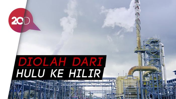 Berkaca SKK Migas dari Pabrik Petrokimia Milik Malaysia