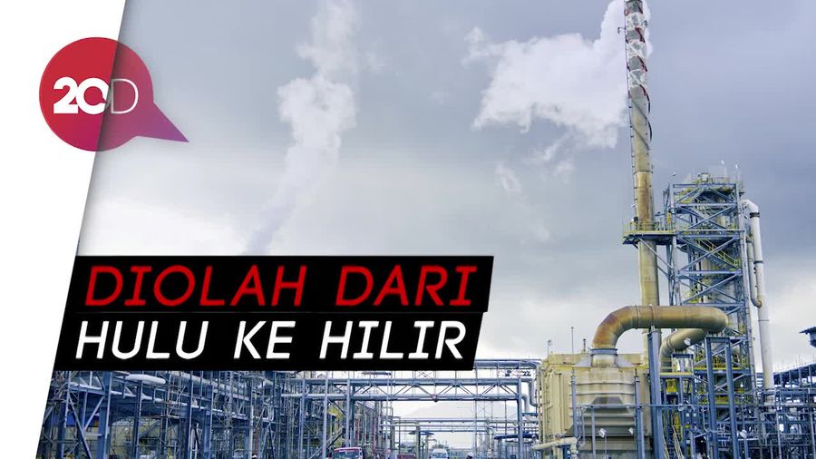 Berkaca SKK Migas dari Pabrik Petrokimia Milik Malaysia