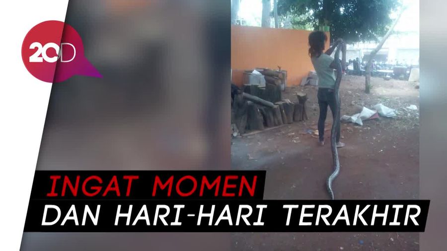 Kenangan Teman tentang Dwi, Pelukis yang Tewas Dililit Ular Sanca