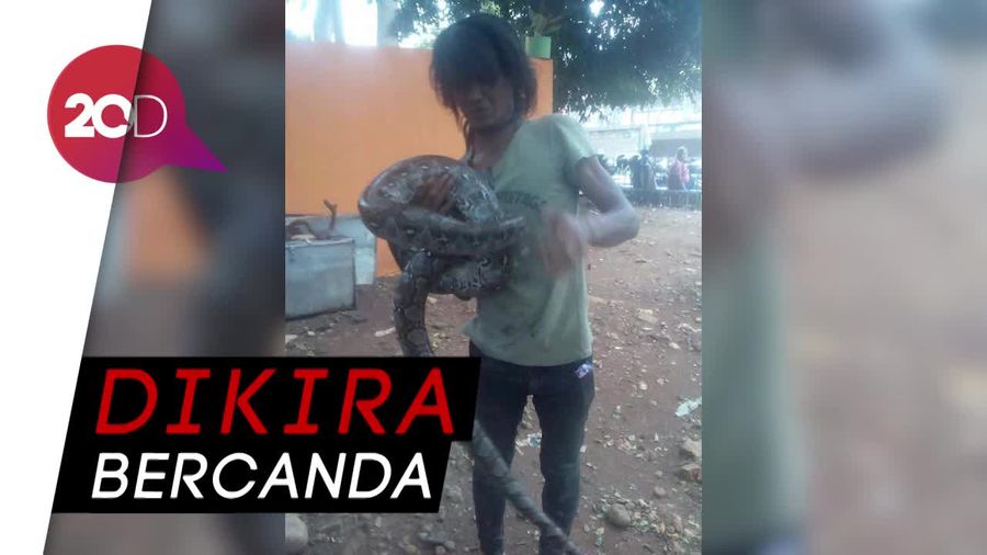 Nasib Tragis Dwi, Pelukis yang Tewas Dililit Sanca di Menteng