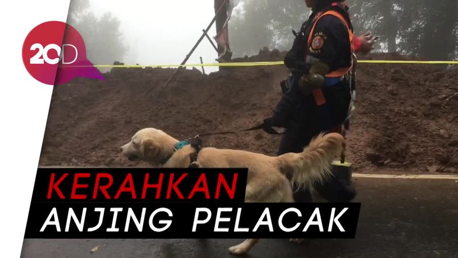 Pencarian Korban Longsor di Tengah Kabut Pekat