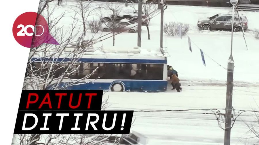 Keren! Warga Gotong Royong Selamatkan Bus Terjebak Salju