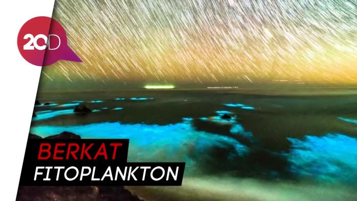 Memukau! Ini Cantiknya Pantai Bercahaya di California
