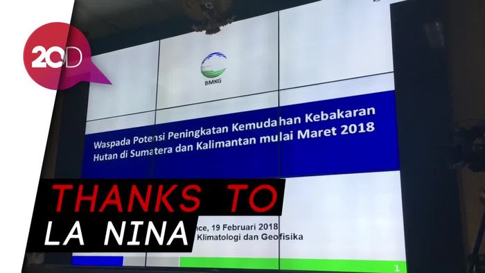 BMKG Prediksi Kebakaran Hutan Tahun Ini Rendah