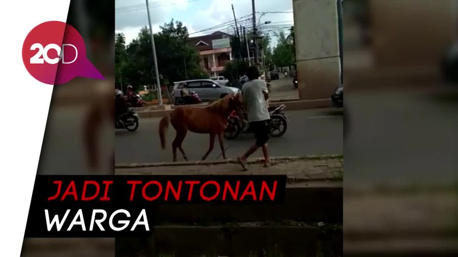 Kuda Ngamuk di Jalan Kota Palembang