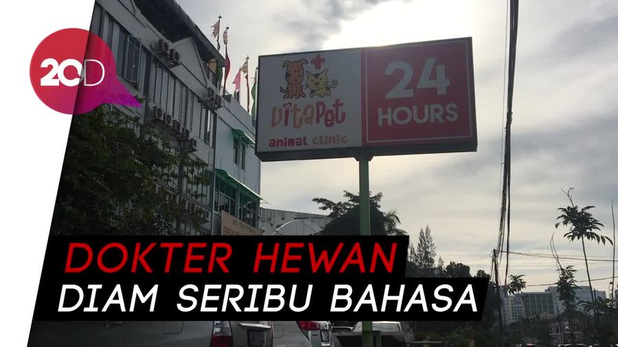 Heboh Klinik Hewan di Pluit yang Terlantarkan Anjing Sampai Tewas