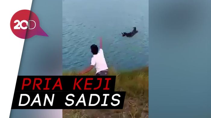 Pria Pelempar Anjing, Anda Dicari Polisi!