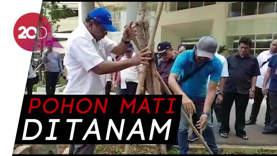 Menteri PUPR Ngomel Lalu Robohkan Pohon di Wisma Atlet