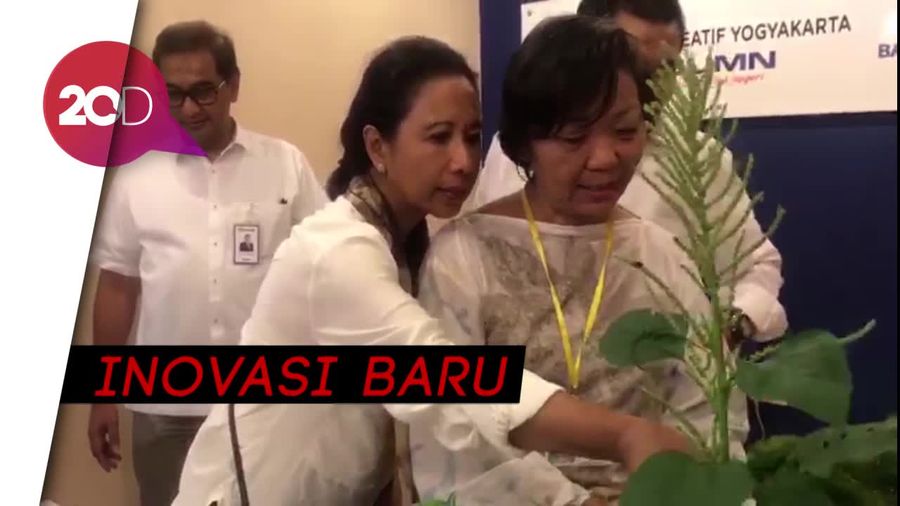 Ternyata Limbah Daun Bisa Percantik Kain Sutra