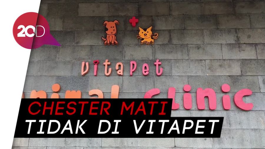 Dituding Terlantarkan Anjing hingga Tewas, Ini Klarifikasi Klinik Vitapet 