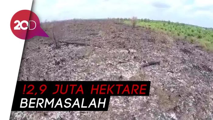 Yuk Cegah Kebakaran Lahan Gambut dengan Cara Ini