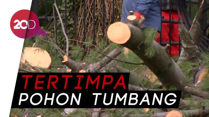 Badai Angin Kencang Landa AS, 5 Orang Tewas