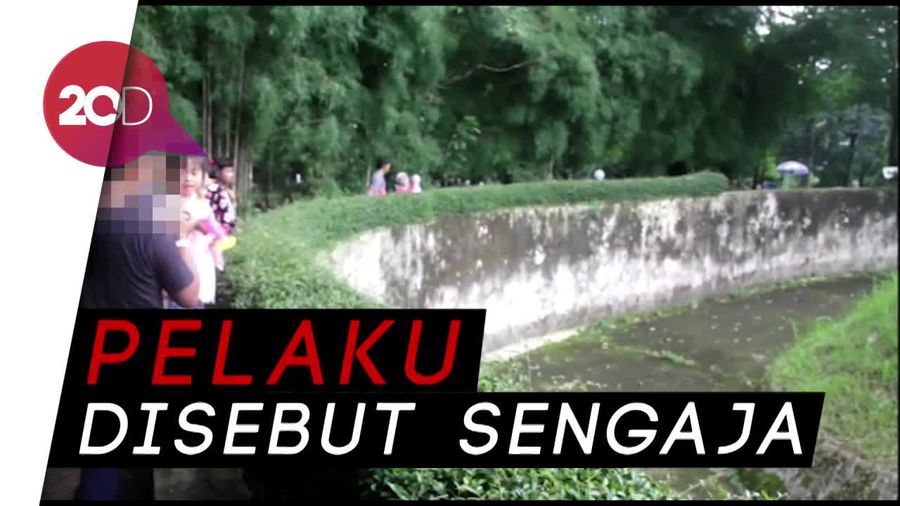 Soal Orang Utan Dilempari Rokok, Ini Penjelasan Bunbin Bandung