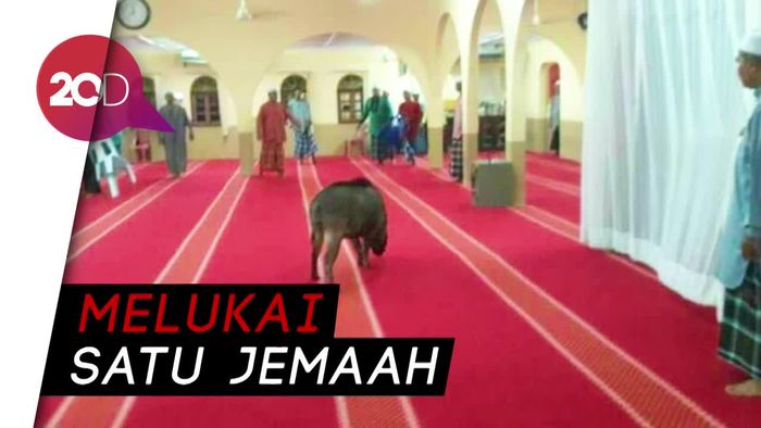 Babi Hutan Nyelonong Masuk Masjid