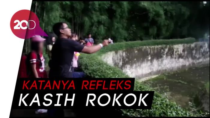 Cerita Pelemparan Rokok ke Orang Utan Versi Pelaku