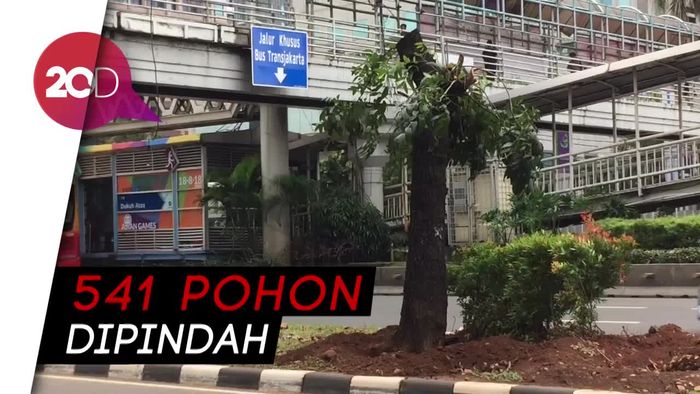 Ratusan Pohon Diungsikan demi Penataan Jalan Sudirman-Thamrin