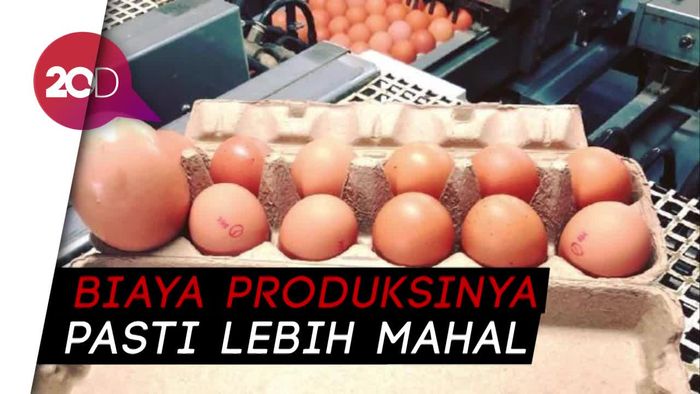 Polri: Telur Palsu Itu Sangat Tidak Mungkin!