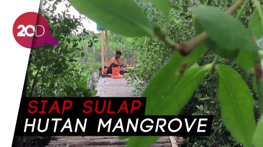 Sudin LH Sempat Ditolak Saat Bersihkan Sampah di Teluk Jakarta