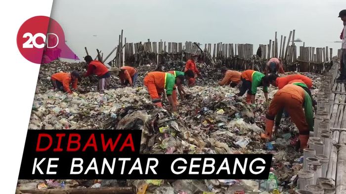 Lautan Sampah di Teluk Jakarta Dibersihkan