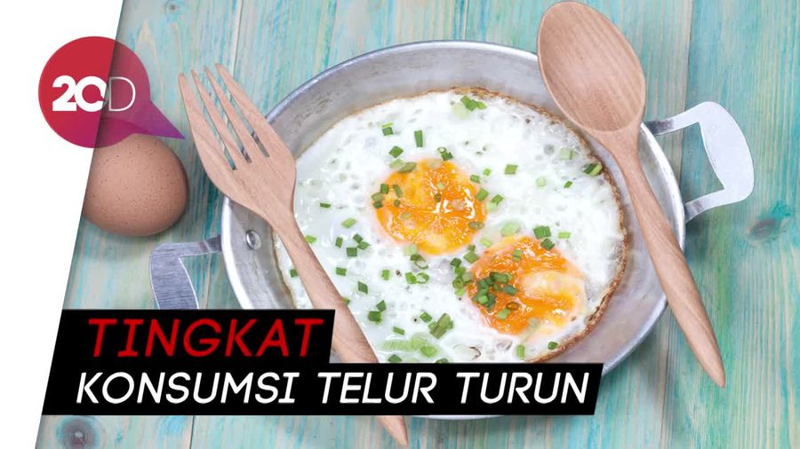 Teror Isu Telur Palsu dan Dampak Generasi Kurang Protein