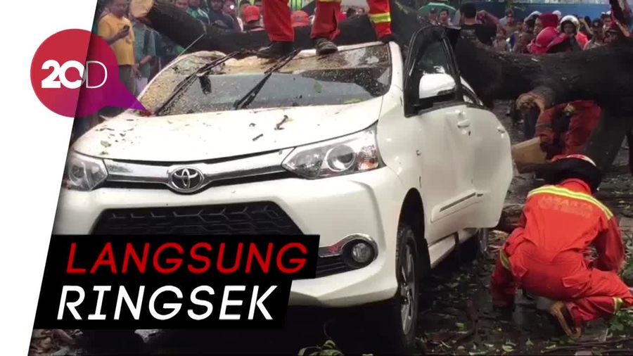 Dua Mobil di Pulo Gadung Tertimpa Pohon Tumbang