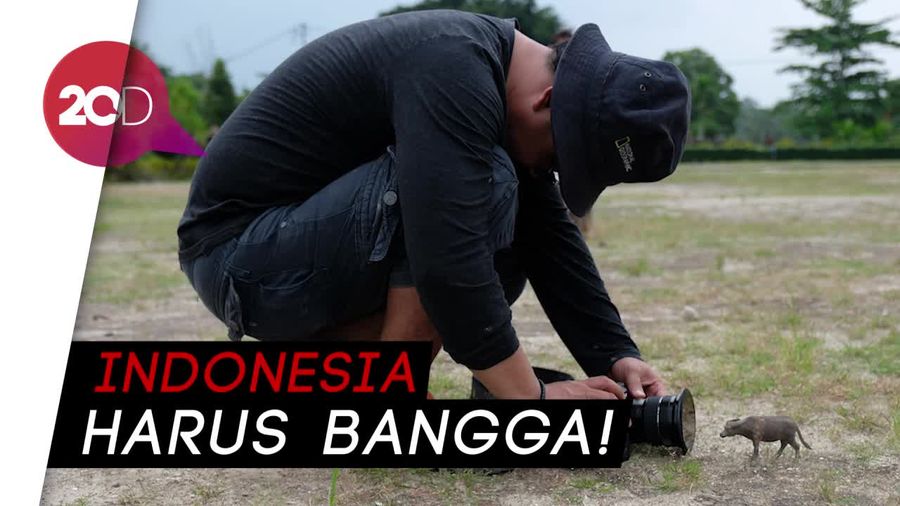 Fotografer Mainan dari Indonesia Siap Pamer Karya di Luar Negeri 