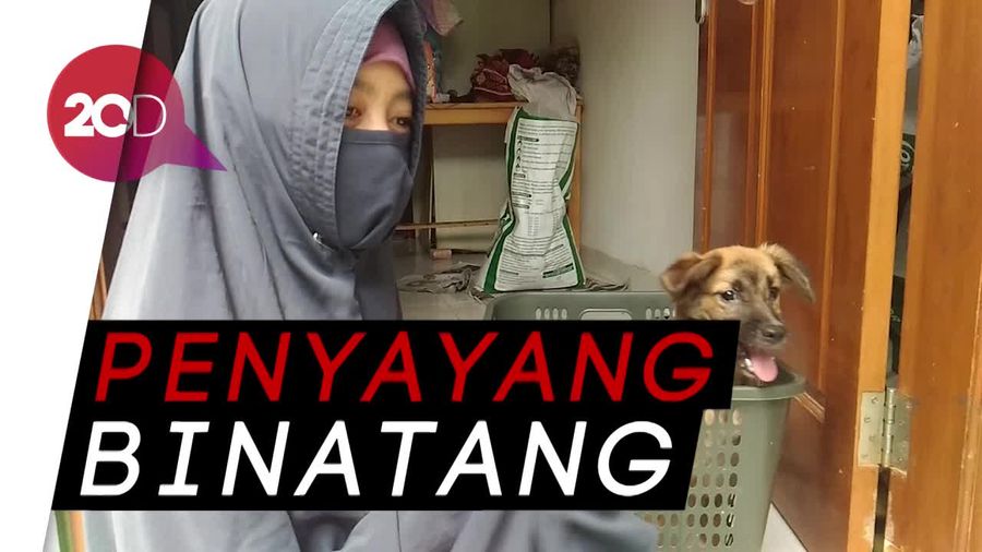 Hesti, Wanita Bercadar yang Pelihara 11 Anjing