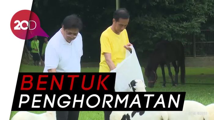 Kata PDIP Soal Kaus Kuning Jokowi saat Bertemu Airlangga