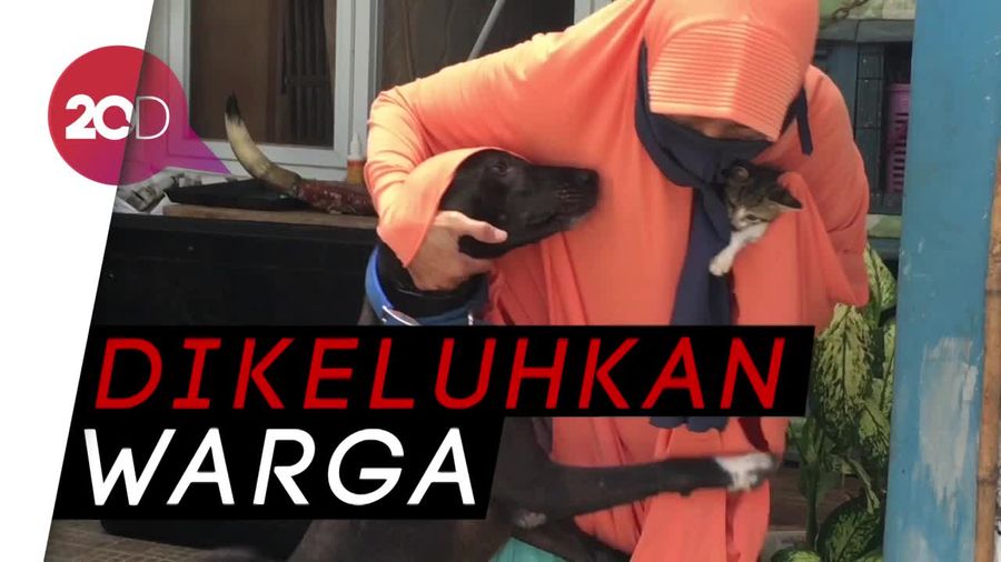 Konsekuensi Wanita Bercadar Pemelihara Anjing