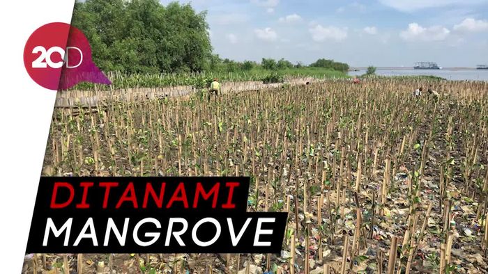 Inilah Penampakan Teluk Jakarta Tanpa Lautan sampah