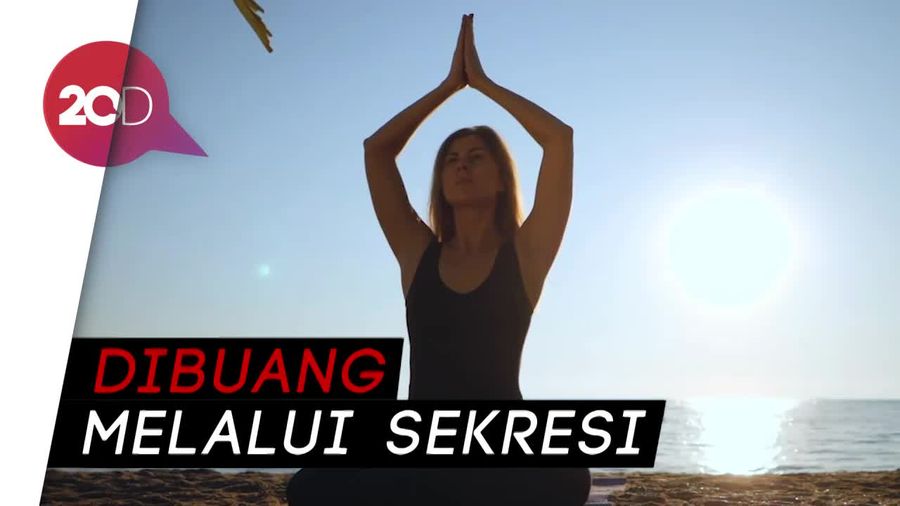 Ada yang Tahu Lemak Berubah Jadi Apa Saat Berat Badan Turun?