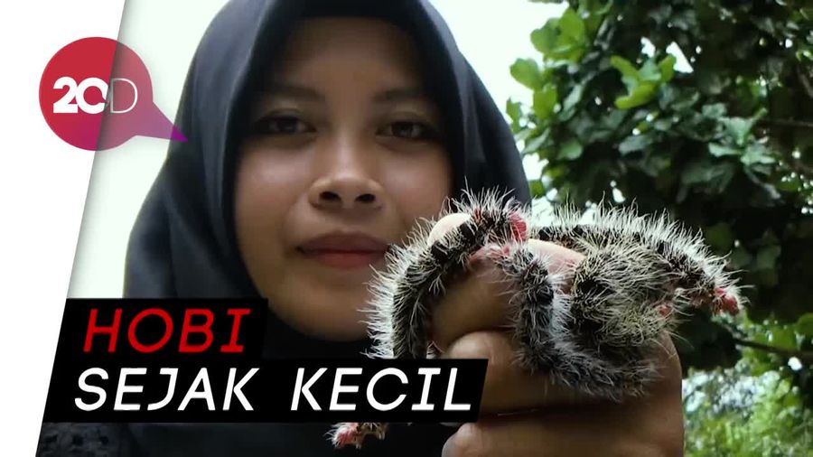 Siapa Sangka Mahasiswi Ini Hobi Main Ulat Bulu dan Kalajengking