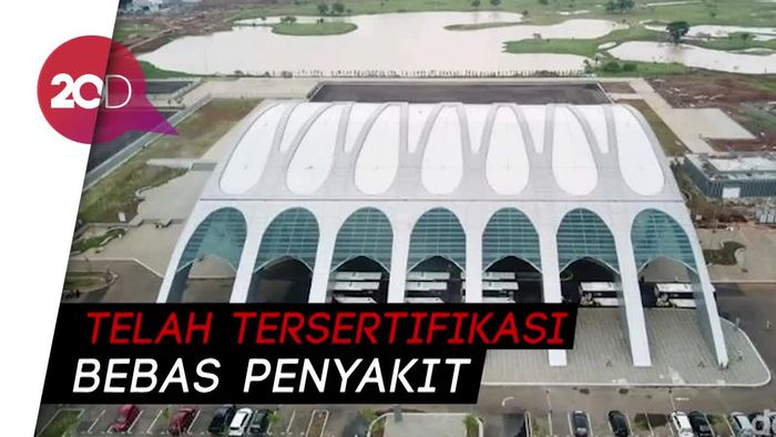 Sandiaga Jamin, Venue Pacuan Kuda Pulomas Steril dari Hewan Kurban