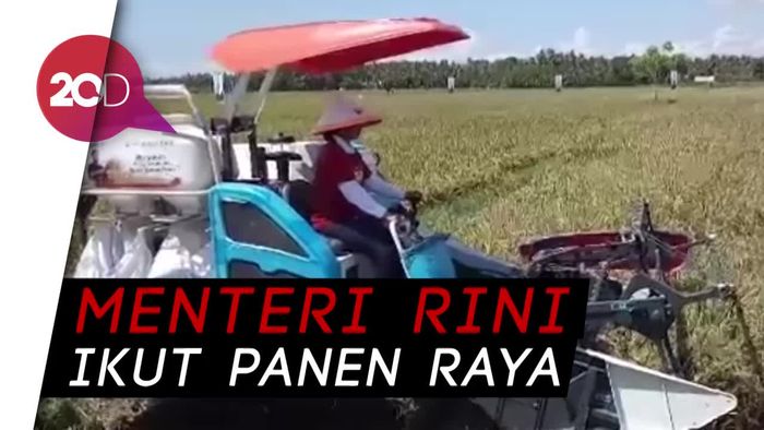 Menteri Rini Panen Padi dan Borong Beras Organik
